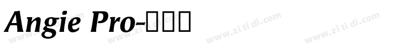 Angie Pro字体转换